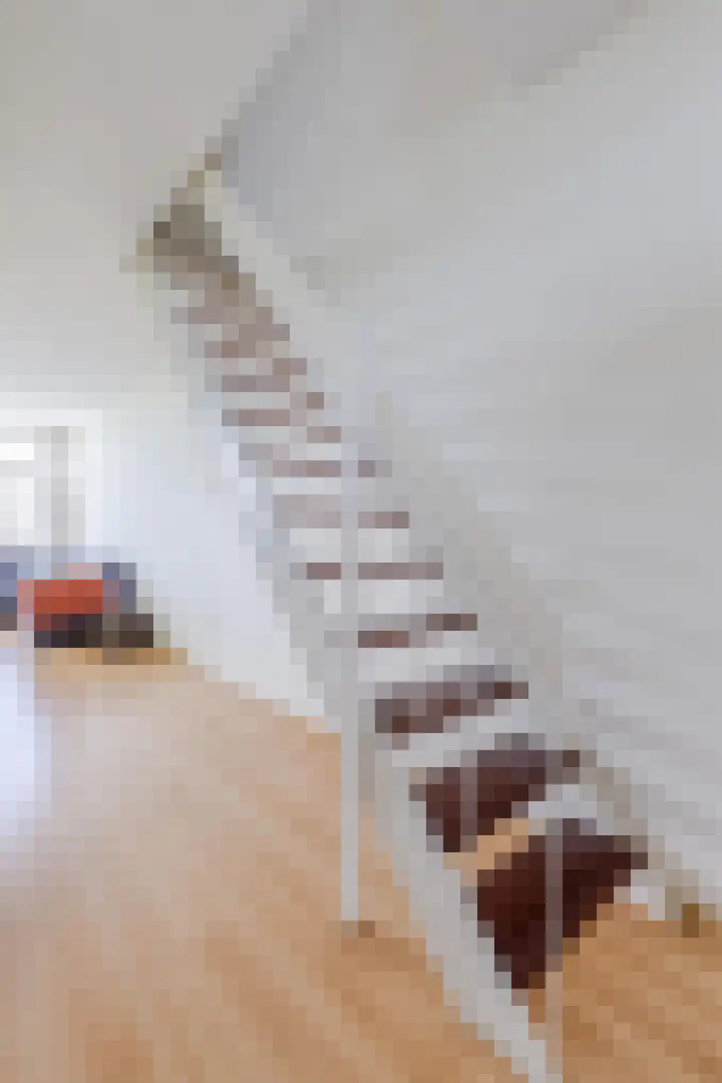 Baden Powellweg 179 Amsterdam thumbnail 18