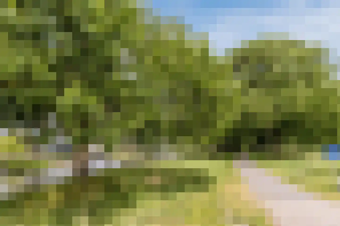 Baden Powellweg 179 Amsterdam thumbnail 33