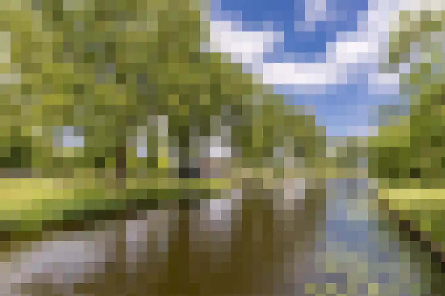 Baden Powellweg 179 Amsterdam thumbnail 34