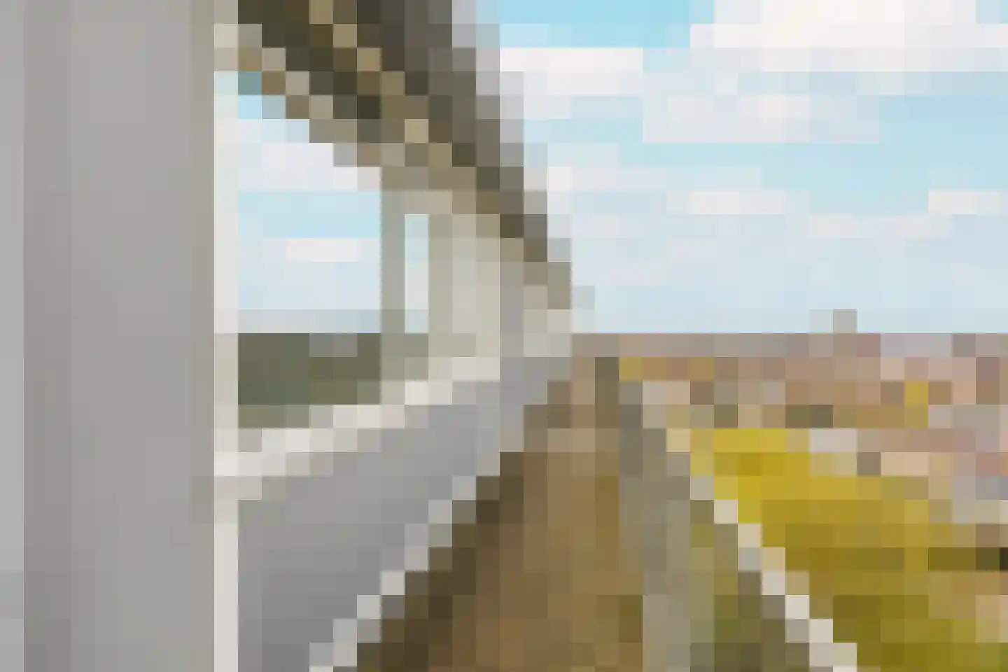 Baden Powellweg 251 Amsterdam thumbnail 39