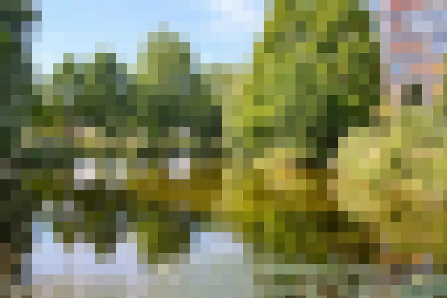 Baden Powellweg 259 Amsterdam thumbnail 25