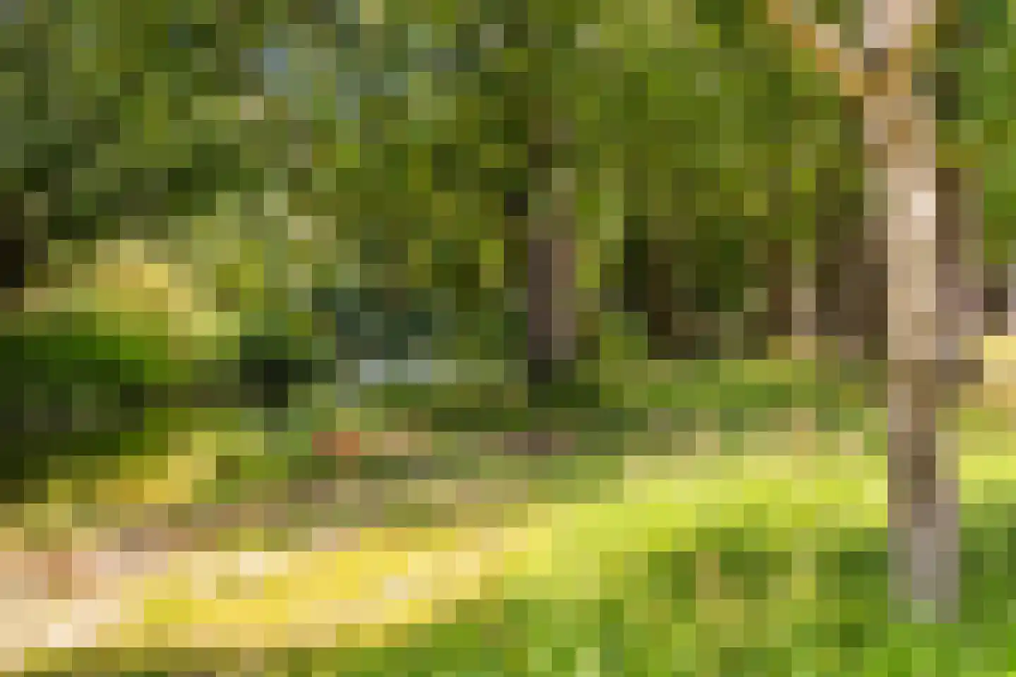Baden Powellweg 259 Amsterdam thumbnail 27