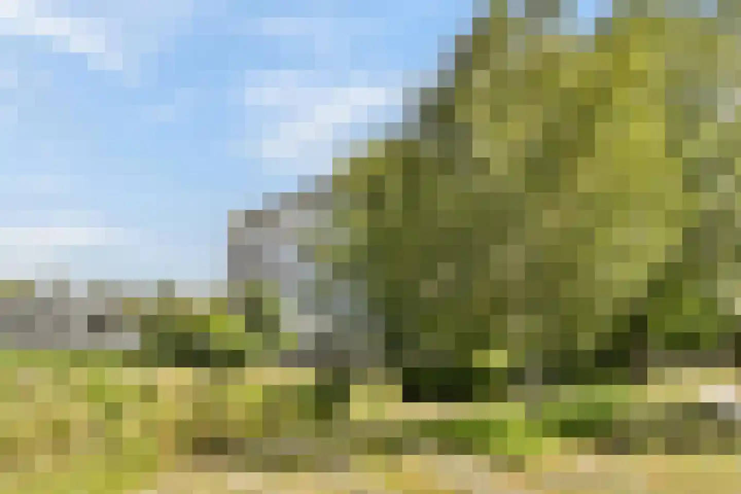 Baden Powellweg 259 Amsterdam thumbnail 28