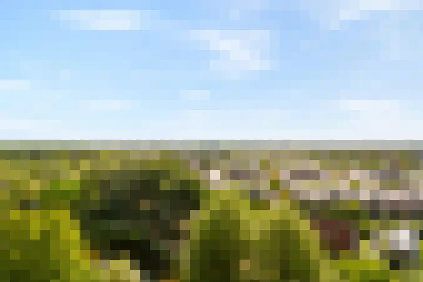 Baden Powellweg 259 Amsterdam thumbnail 9