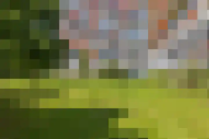 Baden Powellweg 263 B 1 Amsterdam thumbnail 33