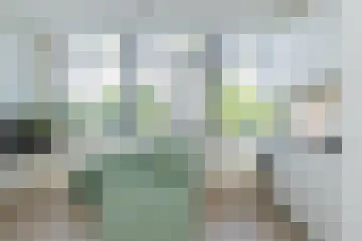 Baden Powellweg 263 B 1 Amsterdam thumbnail 8