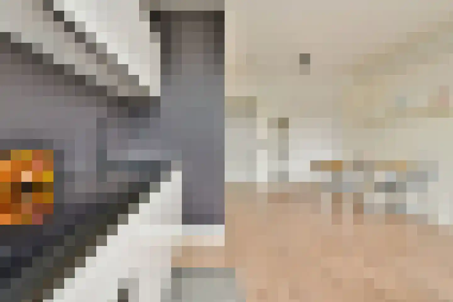 Baden Powellweg 263 B 15 Amsterdam thumbnail 7