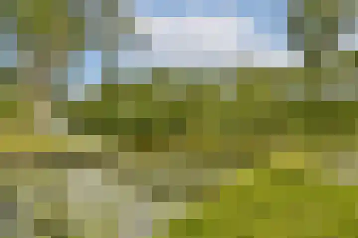 Baden Powellweg 263 B 17 Amsterdam thumbnail 15