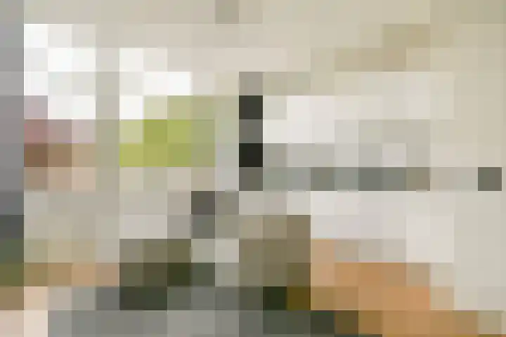 Baden Powellweg 263 B 17 Amsterdam thumbnail 4