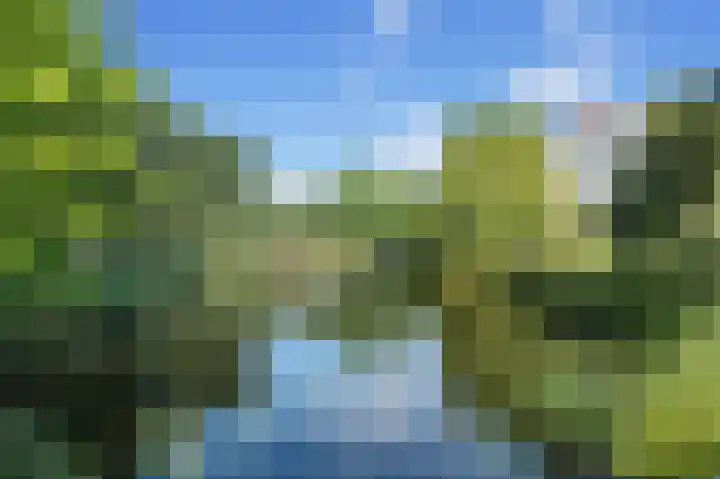 Baden Powellweg 263 B 3 Amsterdam thumbnail 20