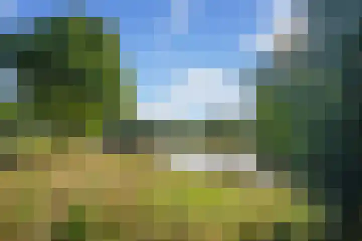 Baden Powellweg 263 B 3 Amsterdam thumbnail 21