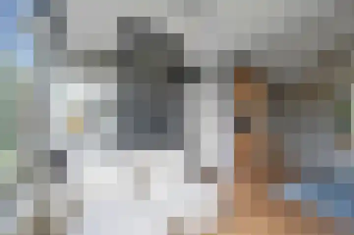 Baden Powellweg 263 B 3 Amsterdam thumbnail 7