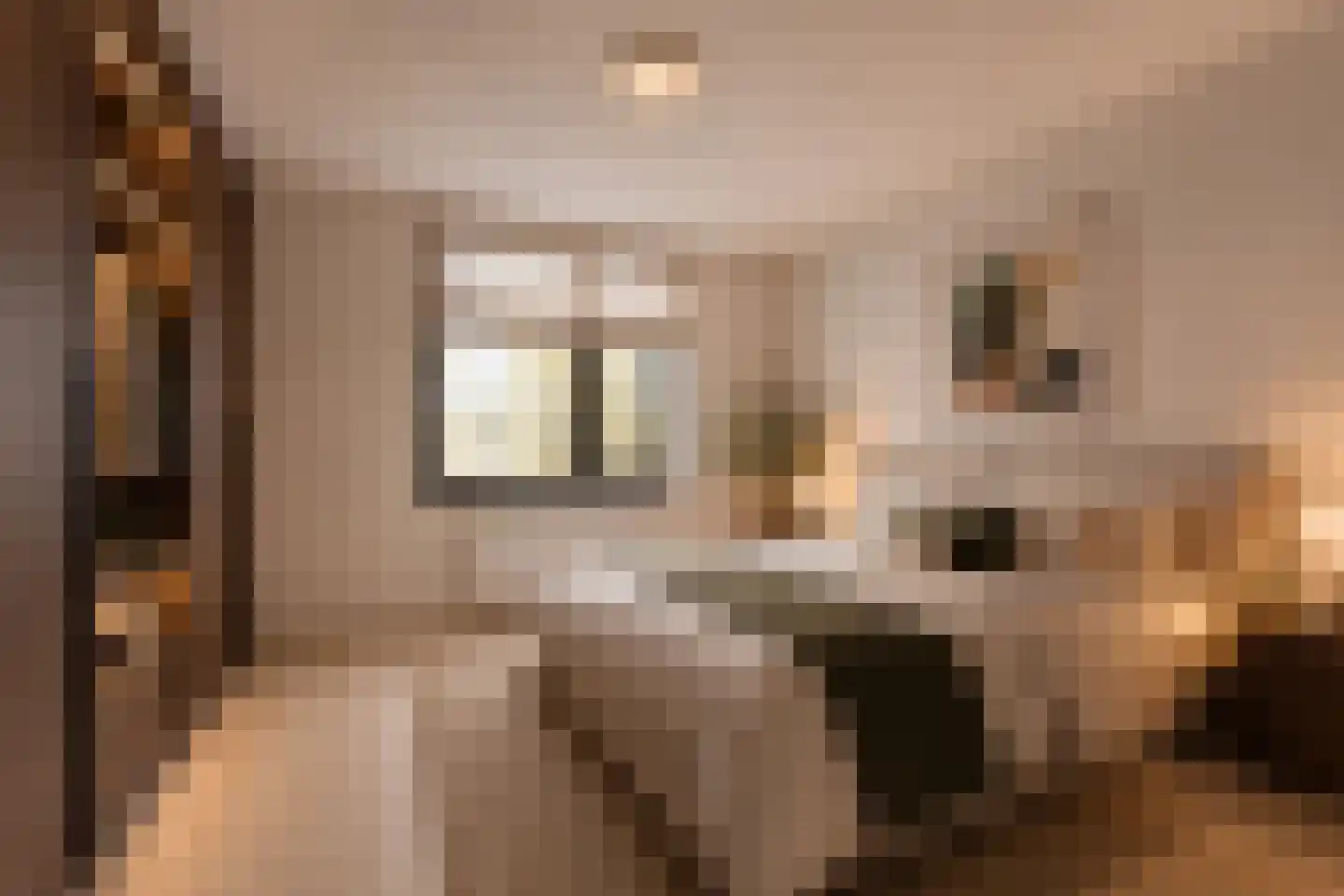 Baden Powellweg 40 C Amsterdam thumbnail 17