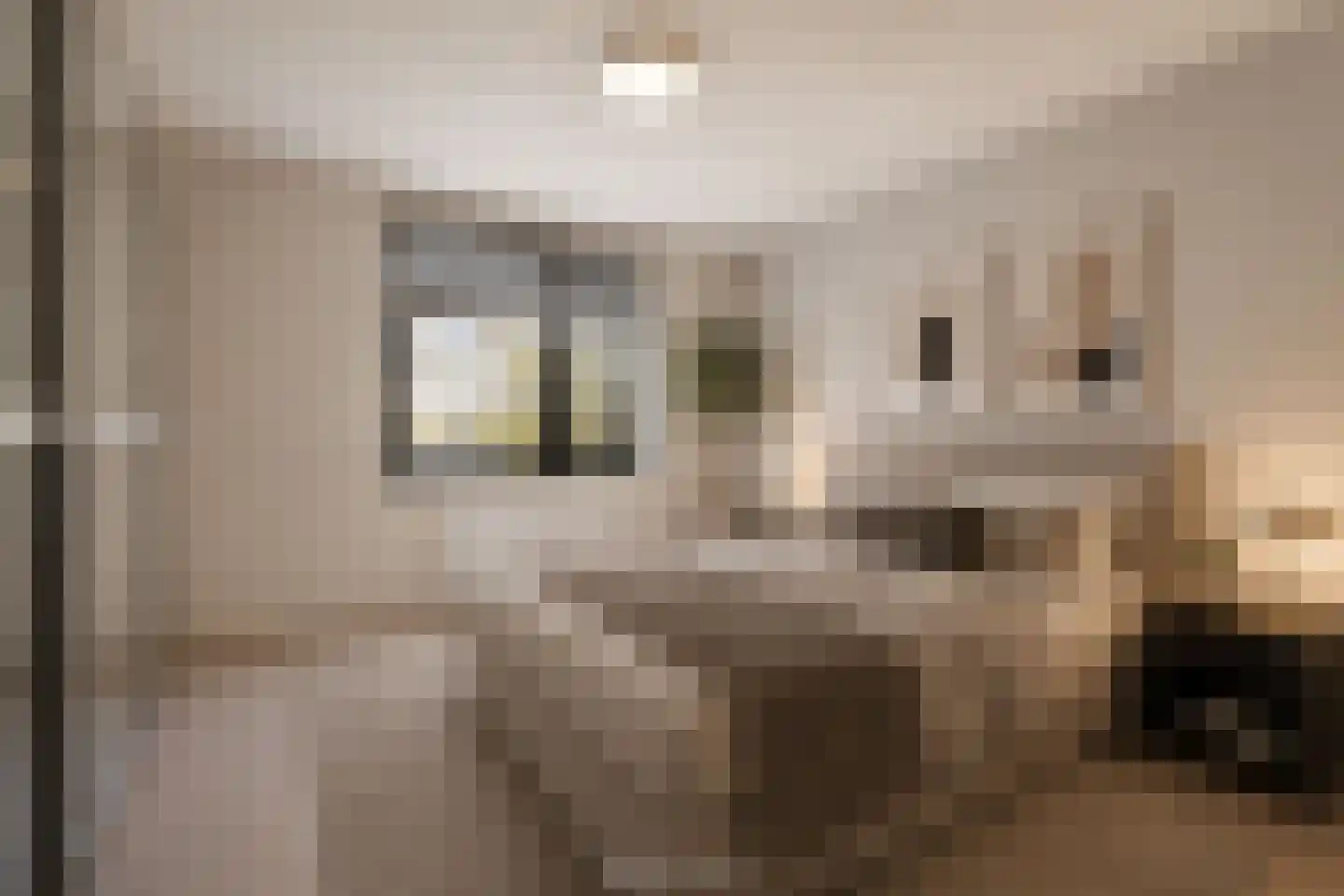 Baden Powellweg 40 C Amsterdam thumbnail 21