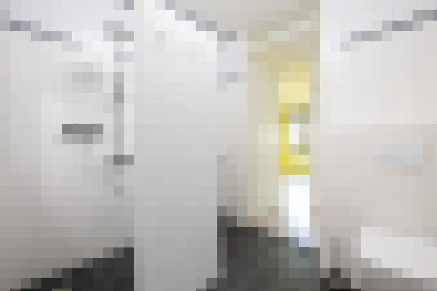 Baden Powellweg 40 C Amsterdam thumbnail 32