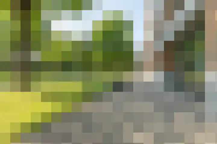 Baden Powellweg 44 B Amsterdam thumbnail 35