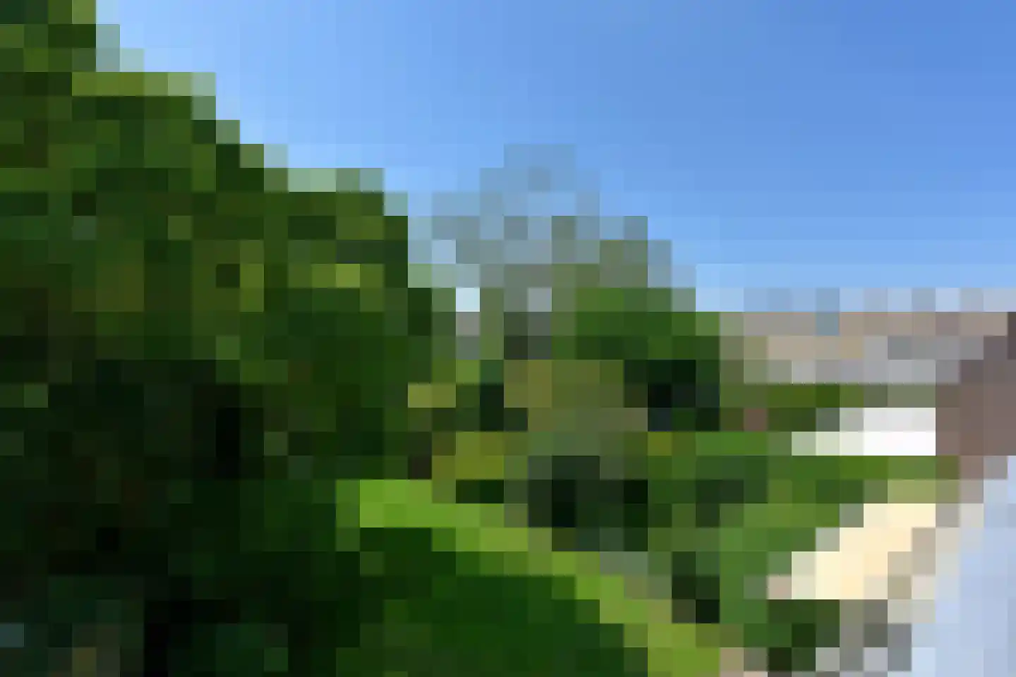 Badhoevelaan 101 Badhoevedorp thumbnail 4