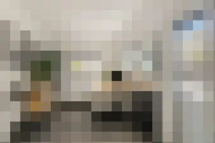 Badhoevelaan 19 Badhoevedorp thumbnail 18