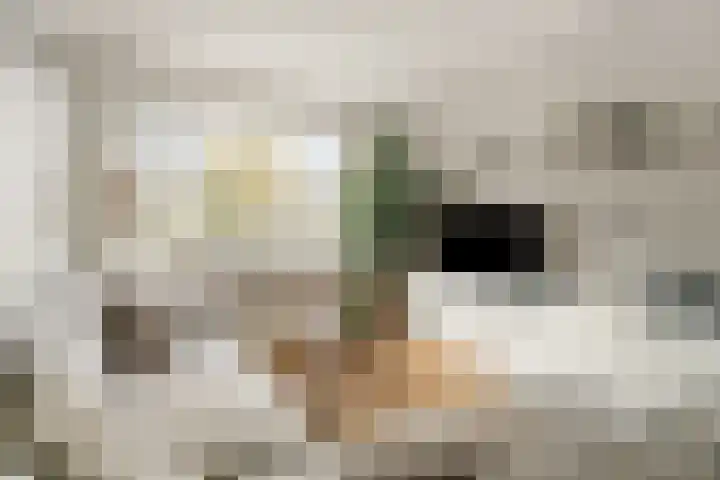 Badhoevelaan 19 Badhoevedorp thumbnail 5