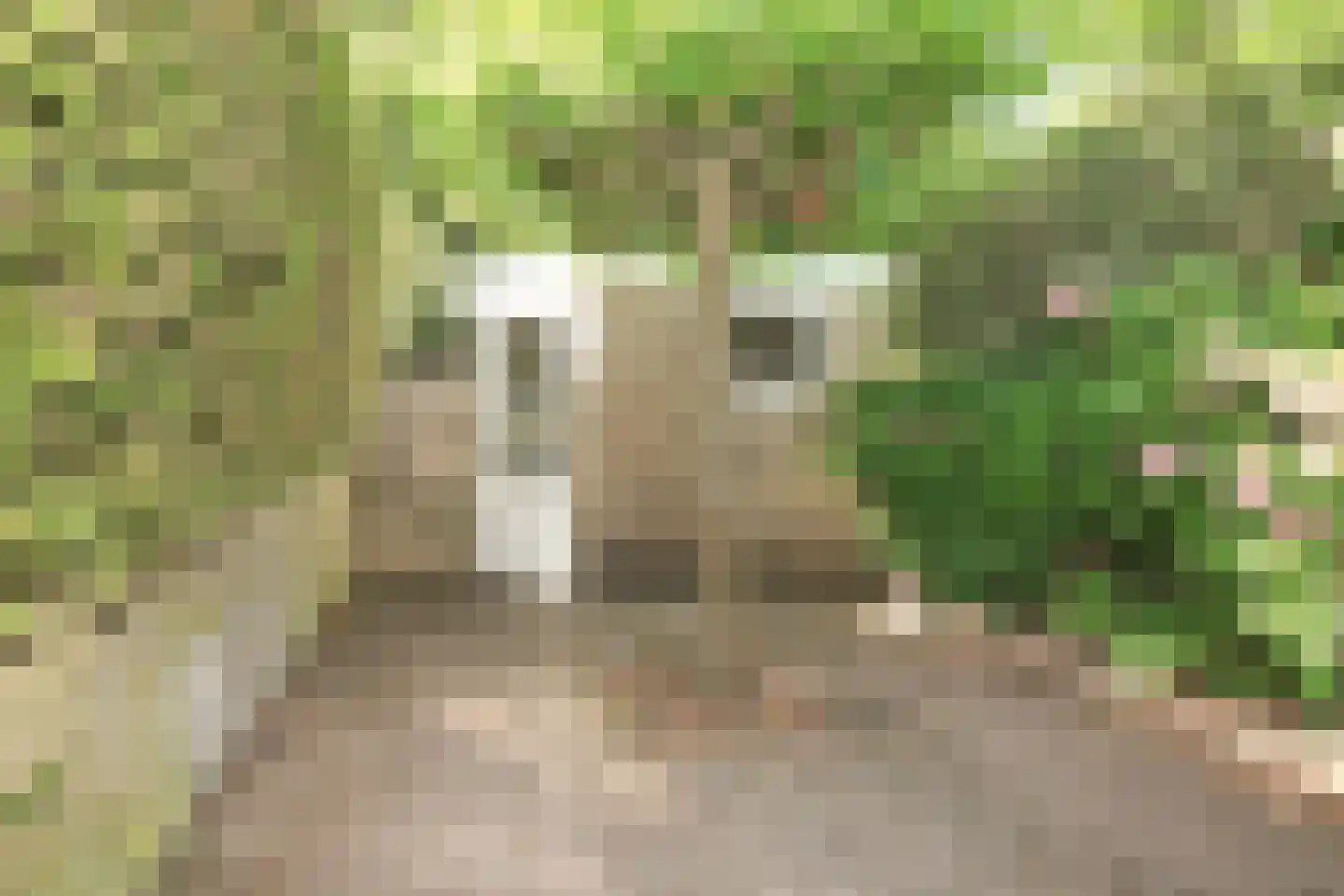 Badhoevelaan 22 Badhoevedorp thumbnail 32
