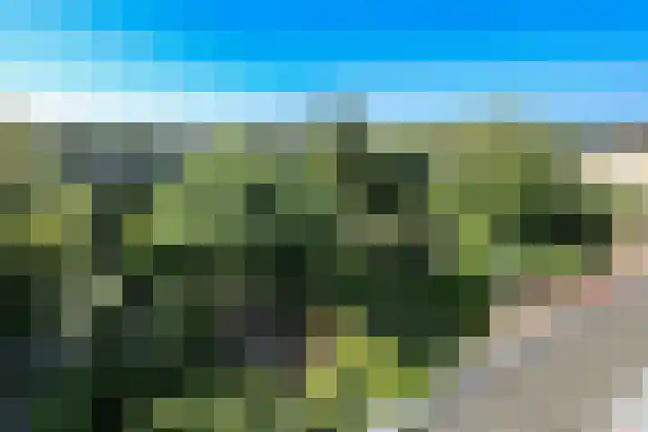 Badhoevelaan 79 Badhoevedorp thumbnail 11