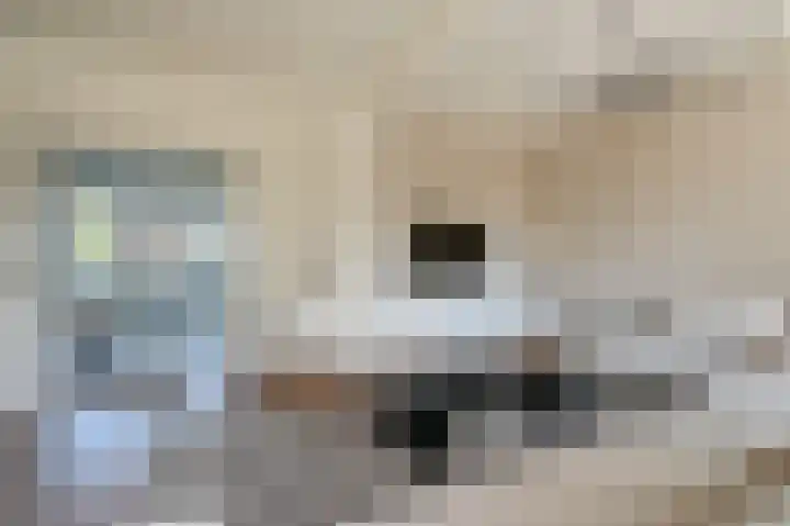 Badhoevelaan 9 Badhoevedorp thumbnail 4