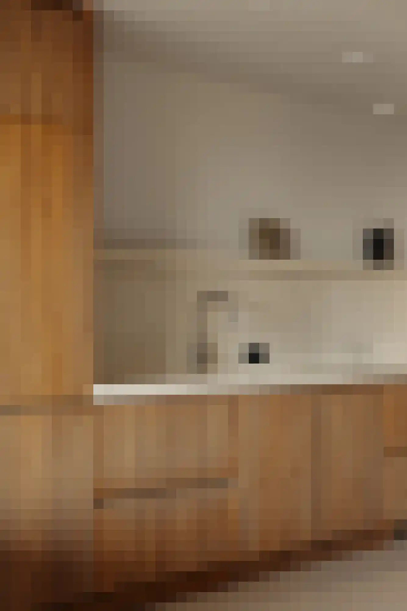 Badhuiskade 109 Amsterdam thumbnail 15