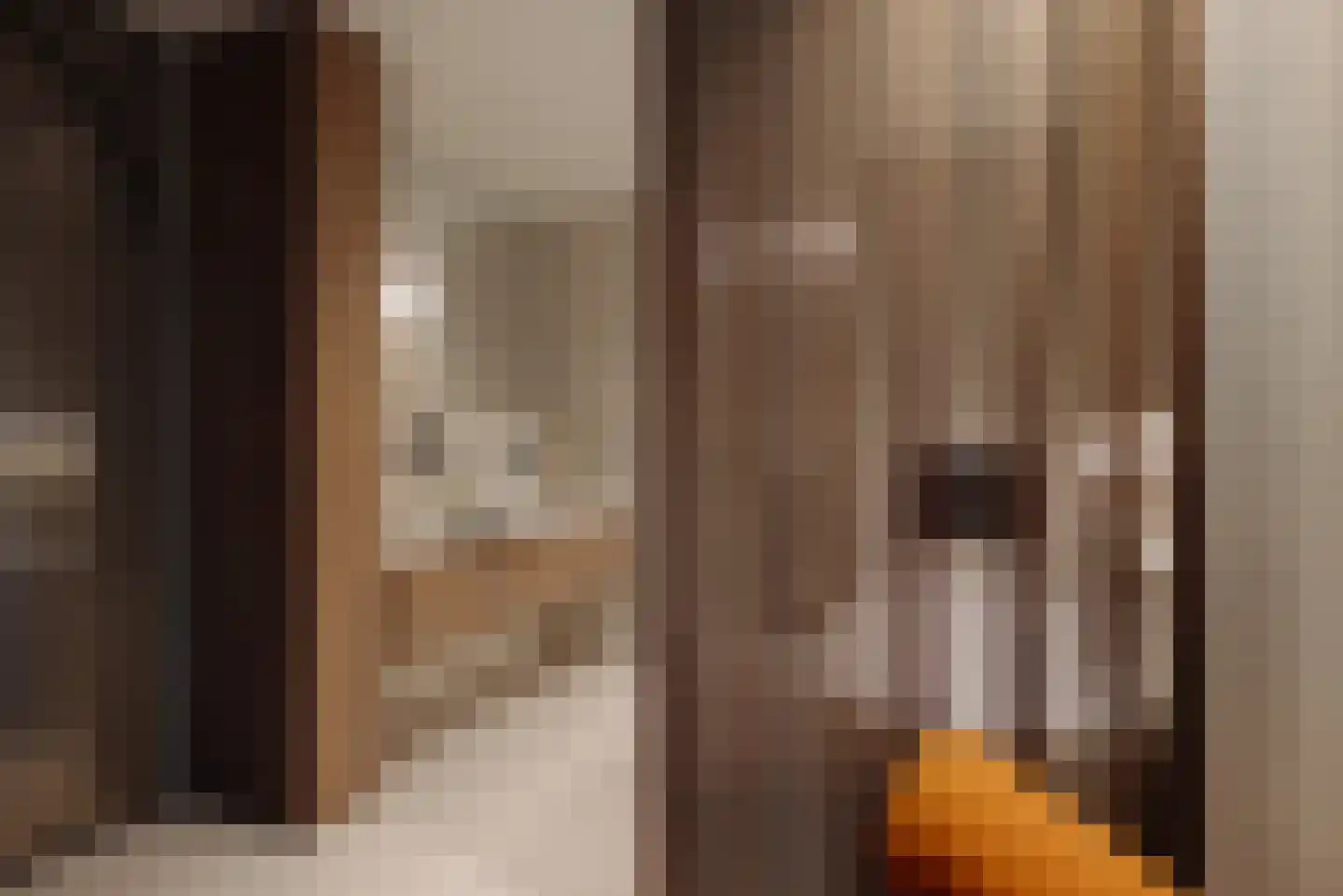 Badhuiskade 109 Amsterdam thumbnail 21