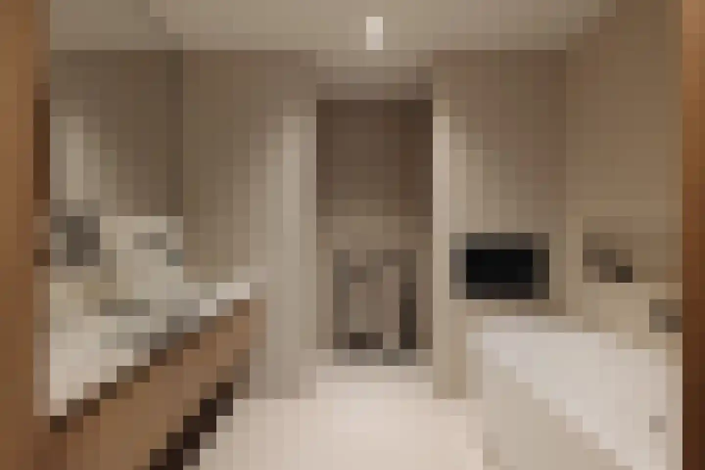 Badhuiskade 109 Amsterdam thumbnail 22