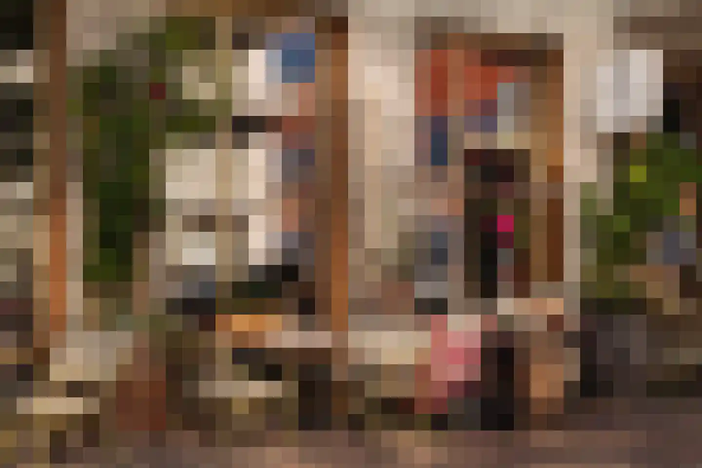 Badhuiskade 109 Amsterdam thumbnail 26