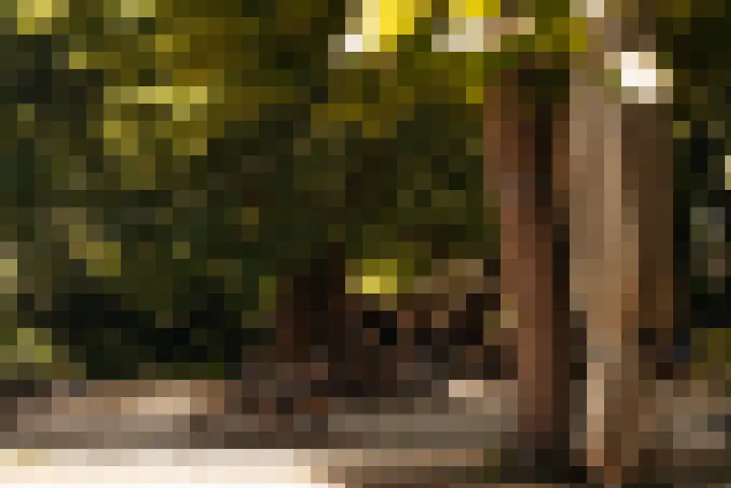 Badhuiskade 109 Amsterdam thumbnail 31
