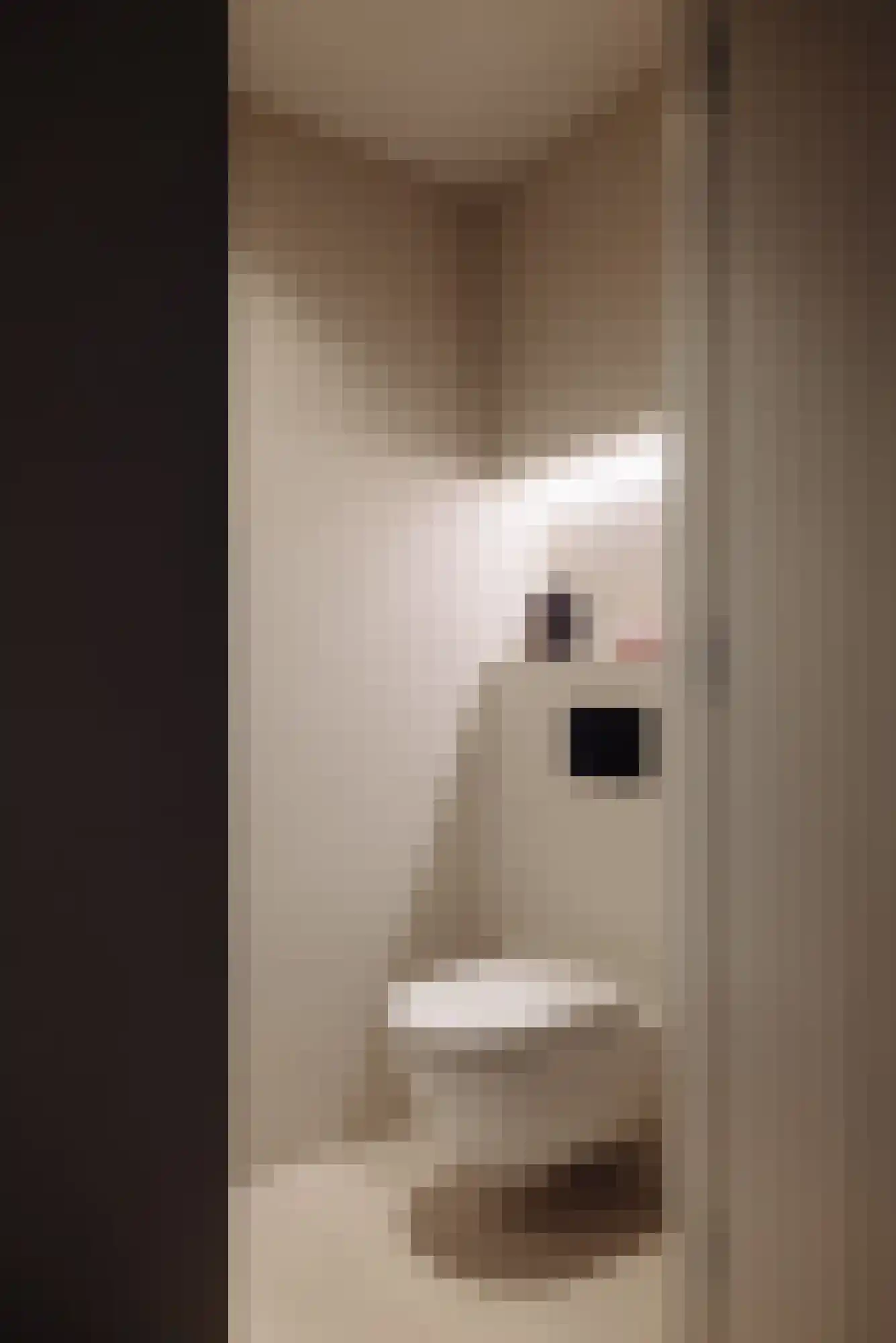 Badhuiskade 109 Amsterdam thumbnail 35