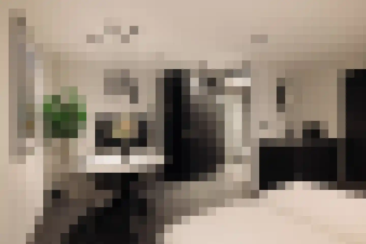 Badhuiskade 109 Amsterdam thumbnail 39
