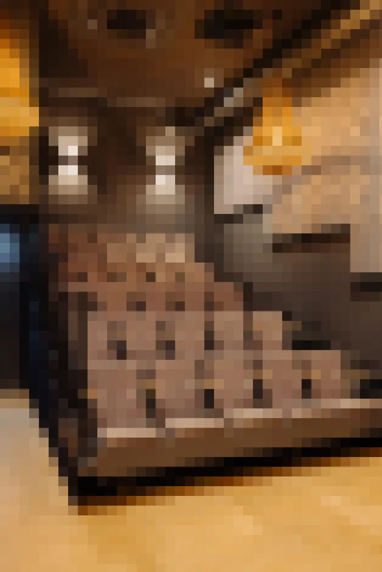 Badhuiskade 109 Amsterdam thumbnail 41