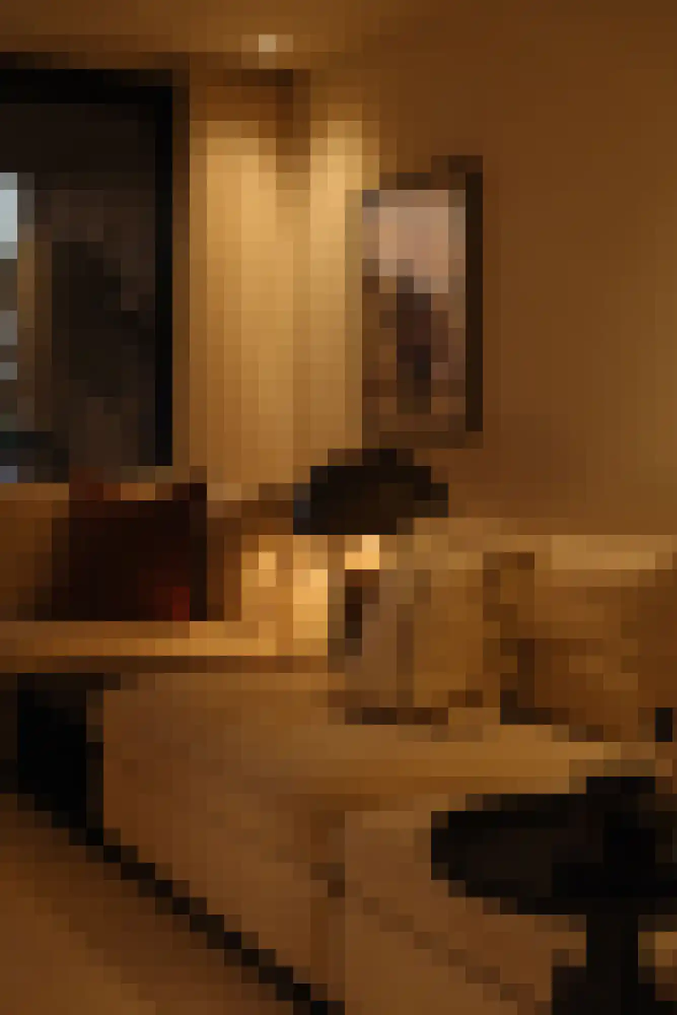 Badhuiskade 109 Amsterdam thumbnail 8