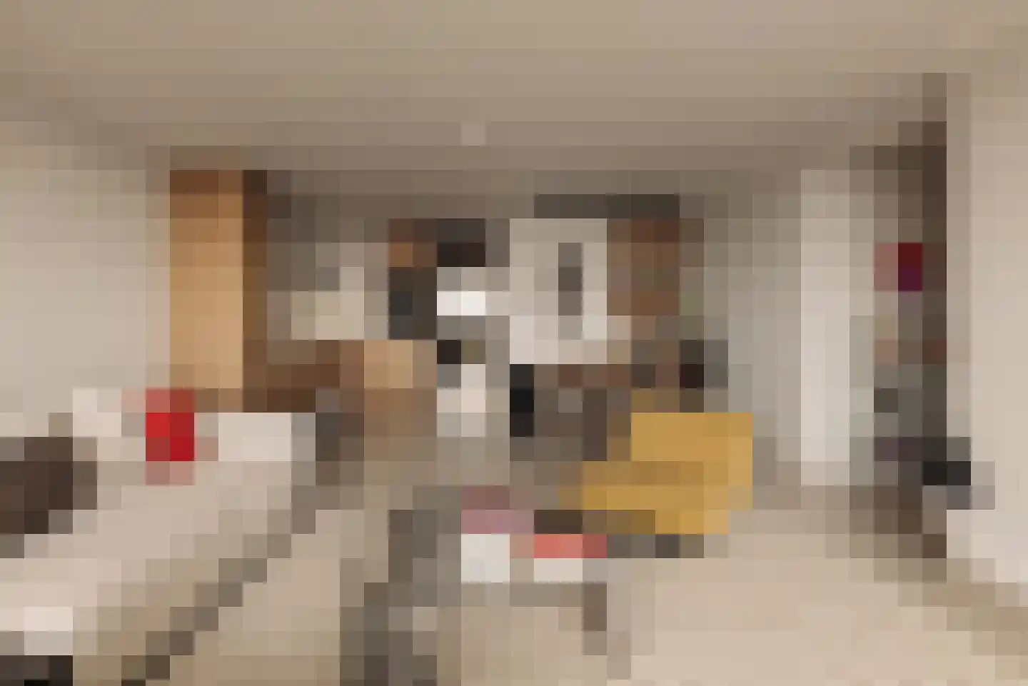 Badhuiskade 109 Amsterdam thumbnail 9