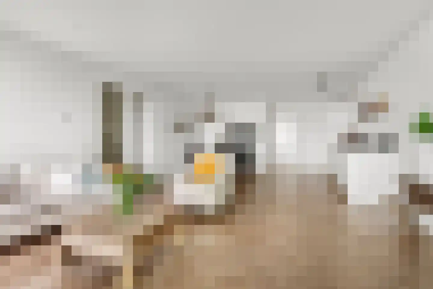 Badhuiskade 111 Amsterdam thumbnail 10