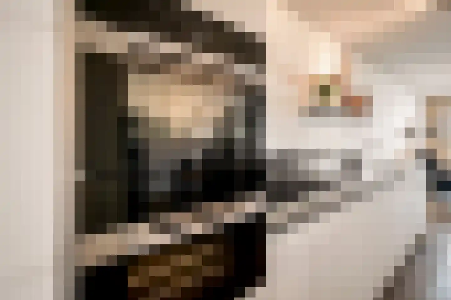 Badhuiskade 111 Amsterdam thumbnail 18