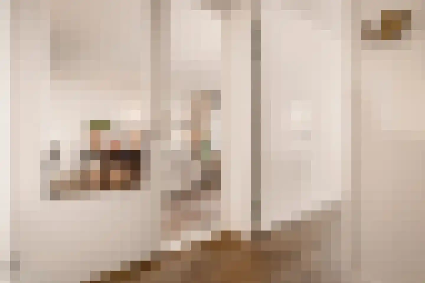Badhuiskade 111 Amsterdam thumbnail 20