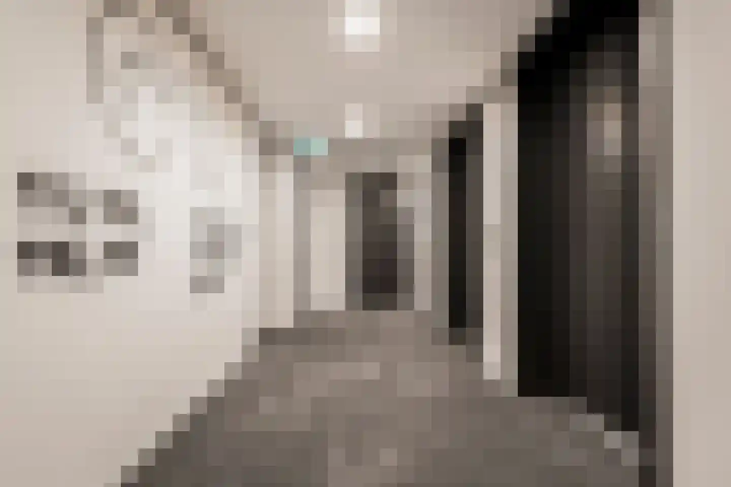 Badhuiskade 111 Amsterdam thumbnail 32