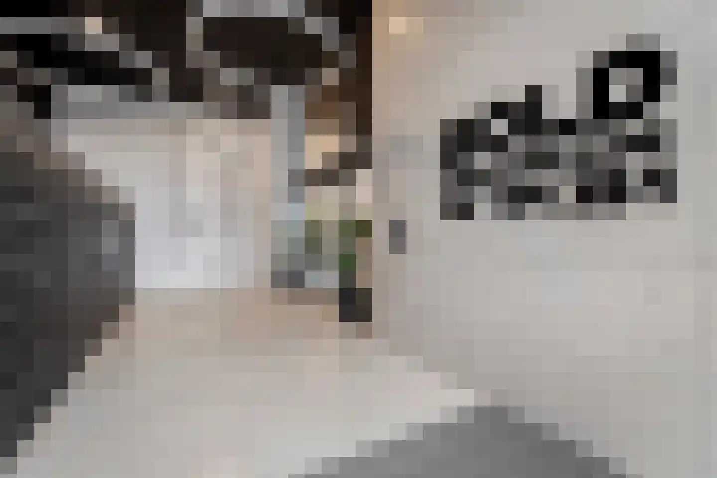 Badhuiskade 111 Amsterdam thumbnail 33