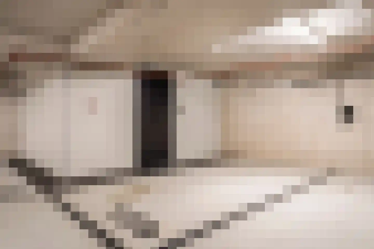 Badhuiskade 111 Amsterdam thumbnail 35