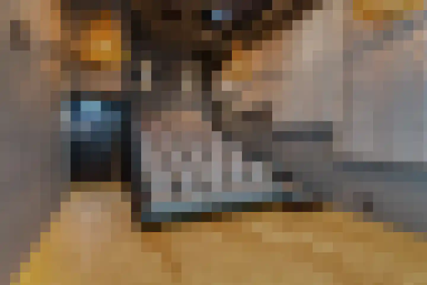 Badhuiskade 111 Amsterdam thumbnail 44