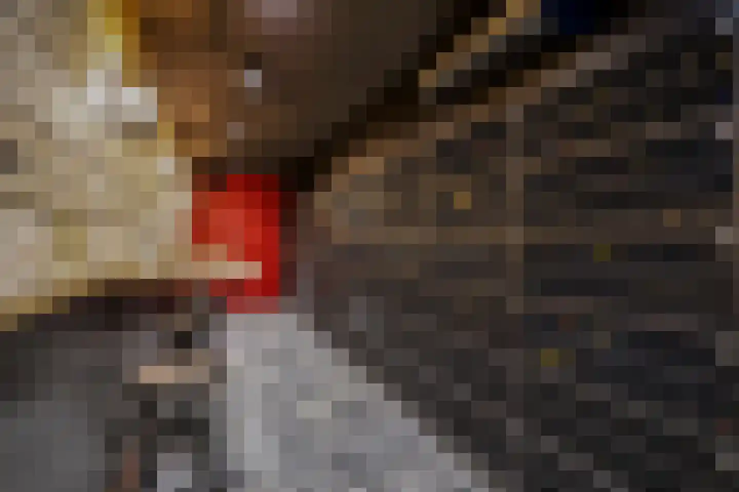Badhuiskade 111 Amsterdam thumbnail 49