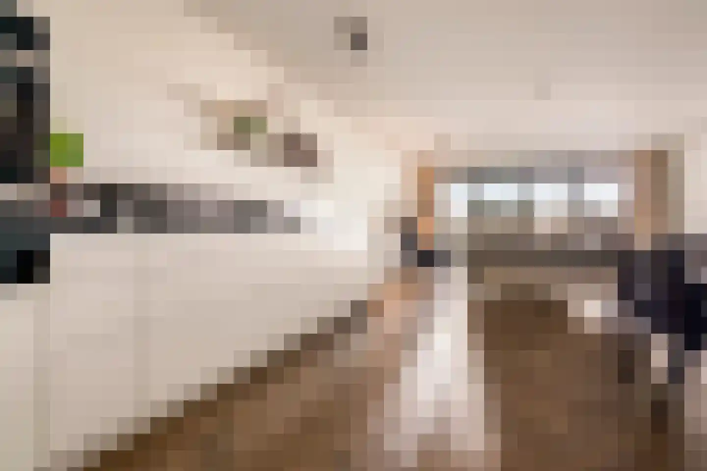 Badhuiskade 111 Amsterdam thumbnail 6