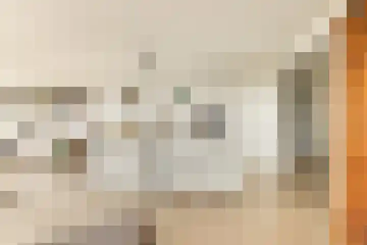 Badhuiskade 117 Amsterdam thumbnail 11