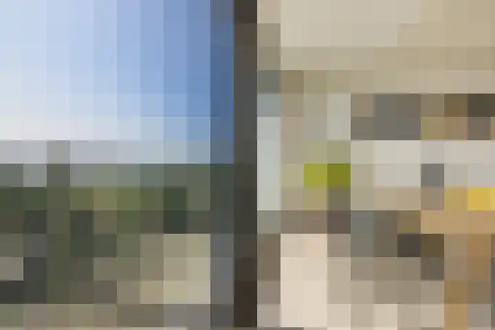 Badhuiskade 117 Amsterdam thumbnail 17