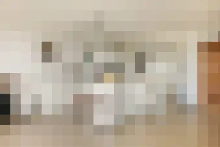 Badhuiskade 117 Amsterdam thumbnail 18