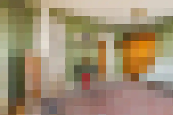 Badhuiskade 117 Amsterdam thumbnail 23