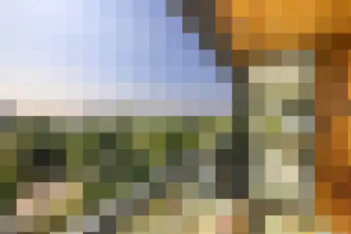 Badhuiskade 117 Amsterdam thumbnail 28